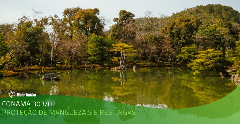 Áreas Protegidas: o Brasil é o País que Mais Preserva Florestas?