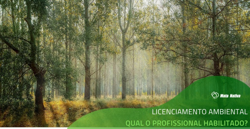 licenciamento-ambiental qual o profissional