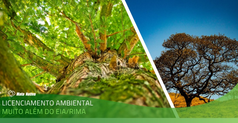 licenciamento ambiental