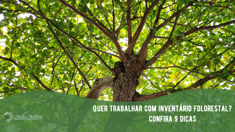 trabalhar-inventario-florestal