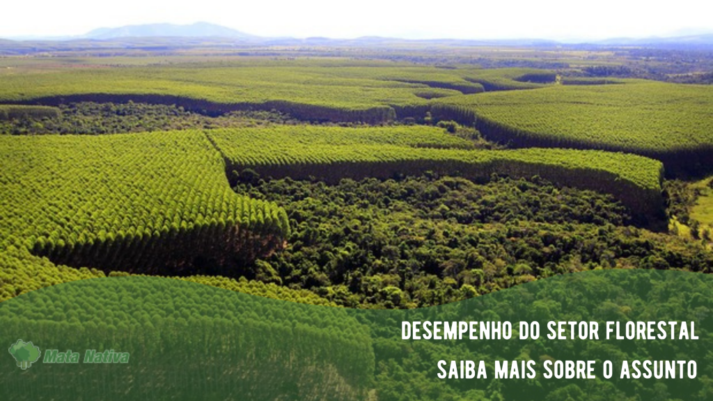 desempenho do setor forestal