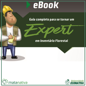 Como se Tornar um Expert