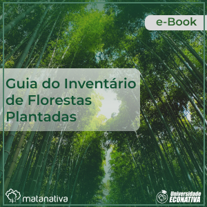 Guia do Inventário de Florestas Plantadas