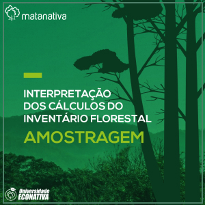 Interpretação dos Cálculos do Inventário Florestal-Amostragem