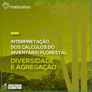 Interpretação dos Cálculos do Inventário Florestal Diversidade e Agregação