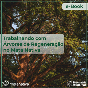 Trabalhando com Árvores de Regeneração no Mata Nativa