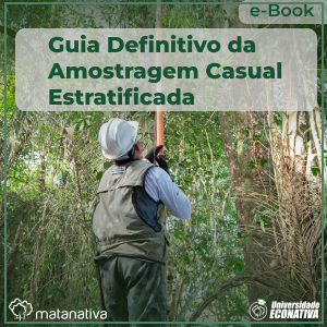 Guia Definitivo da Amostragem Casual Estratificada
