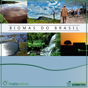 Biomas do Brasil