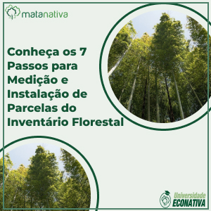 Conheça os 7 Passos para Medição e Instalação de Parcelas do Inventário Florestal