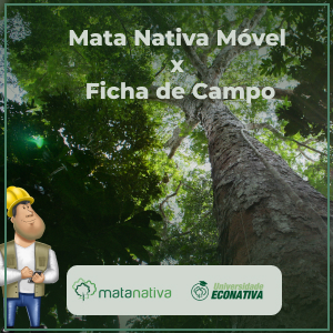 Mata Nativa Móvel vs Ficha de Campo