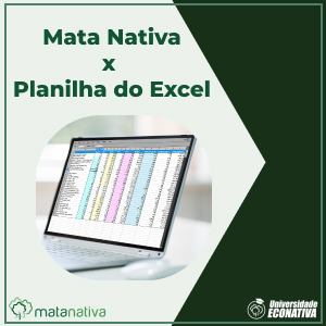 Mata nativa vs Planilha do Excel