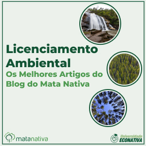 Licenciamento Ambiental os Melhores Artigos do Blog do Mata Nativa