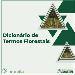 Dicionário de Termos Florestais