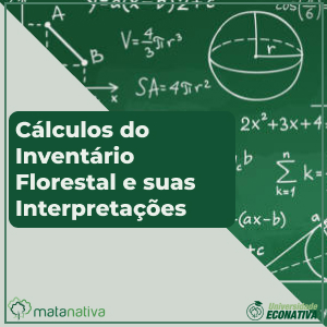 Cálculos do Inventário Florestal e suas Interpretações