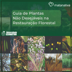 Guia de Plantas Não Desejáveis na Restauração Florestal