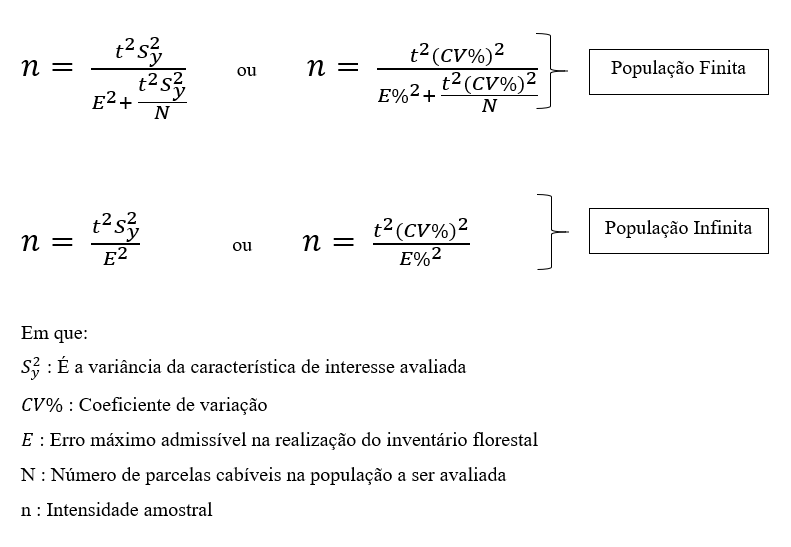 Inventário Florestal: tamanho das parcelas e intensidade amostral