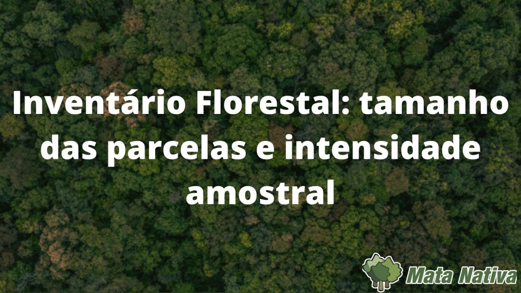 Inventário Florestal_ tamanho das parcelas e intensidade amostral