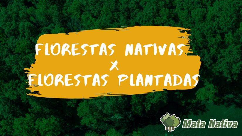 Inventários florestais Floresta nativa x floresta plantada