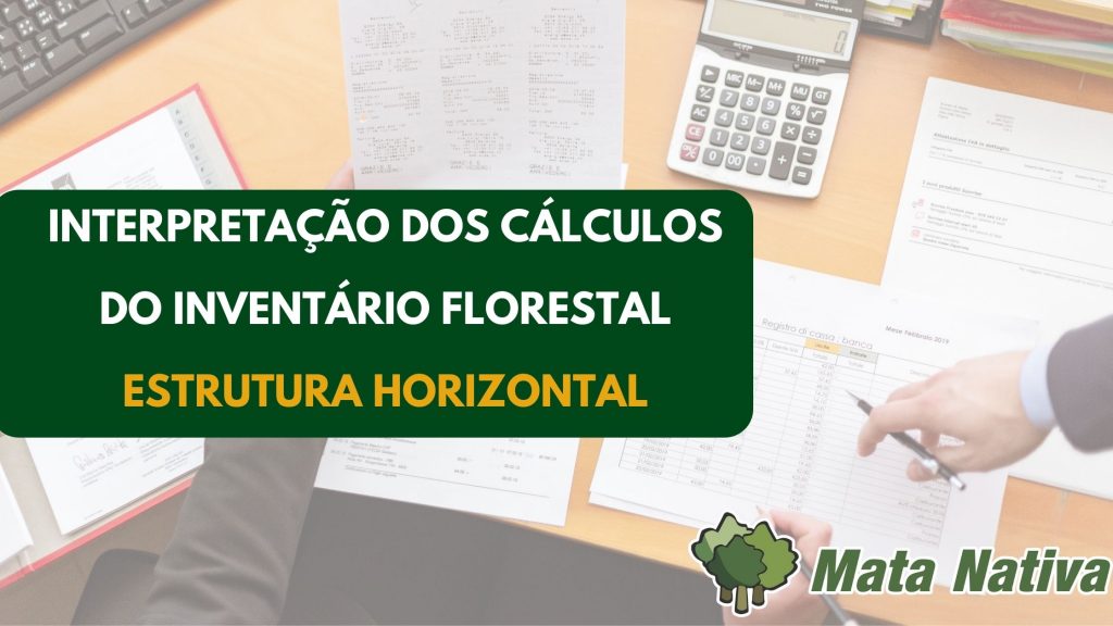 Interpretação dos Cálculos do Inventário Florestal: Estrutura Horizontal