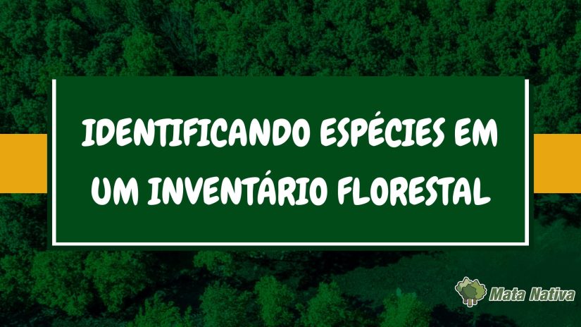 Identificando espécies em um inventário florestal