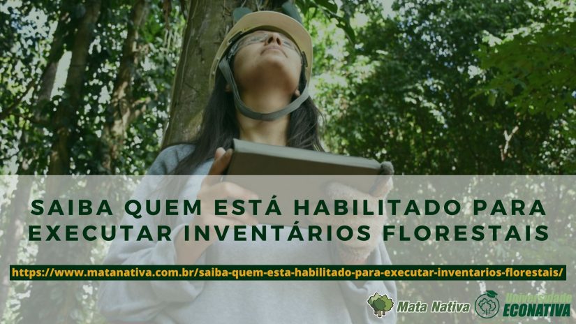 Saiba quem está habilitado para executar inventários florestais