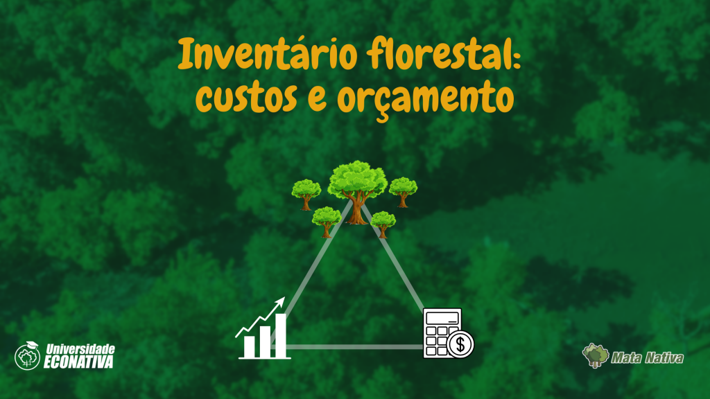 inventario florestal custos e orcamento