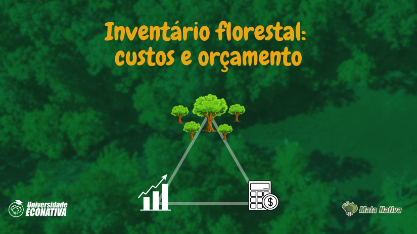 inventario florestal custos e orcamento