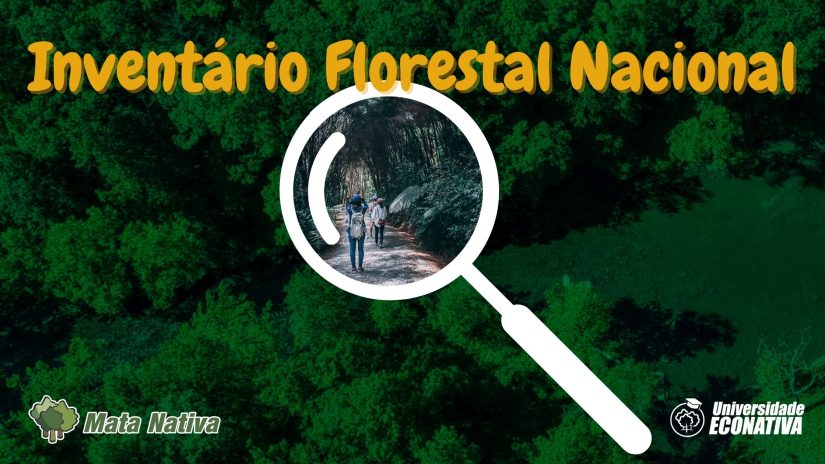 Inventário Florestal Nacional