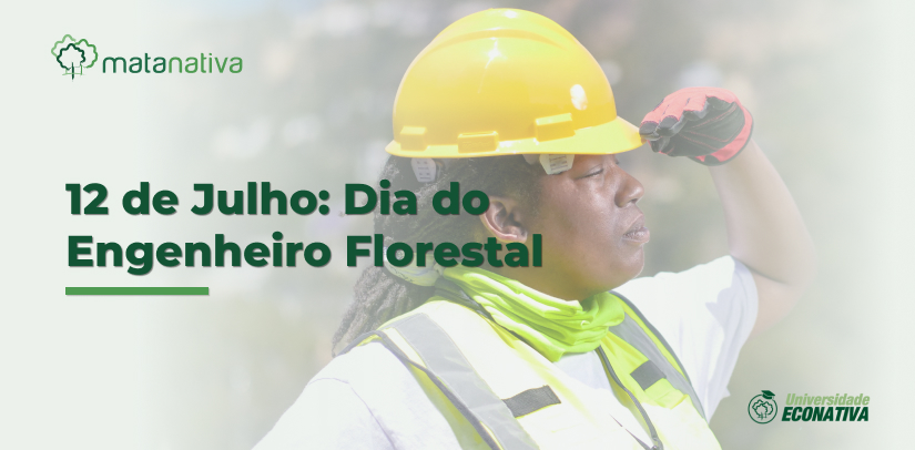 12 de Julho Dia do Engenheiro Florestal