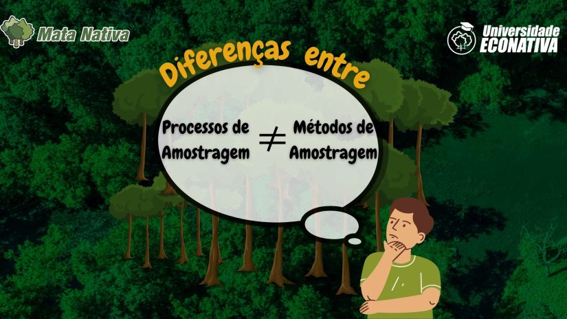 Diferenças entre Métodos e Processos de Amostragem em um Inventário Florestal