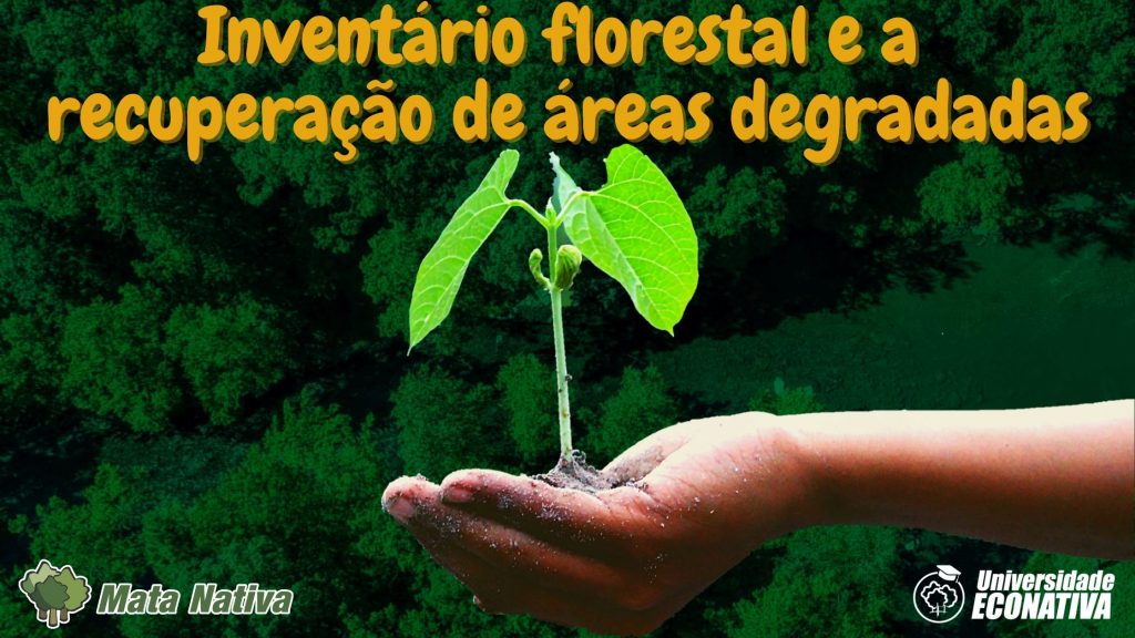 Inventário florestal e a recuperação de áreas degradadas