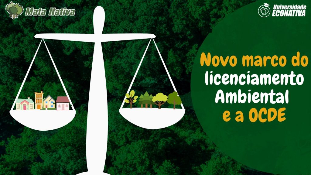 Novo marco do Licenciamento Ambiental e a OCDE