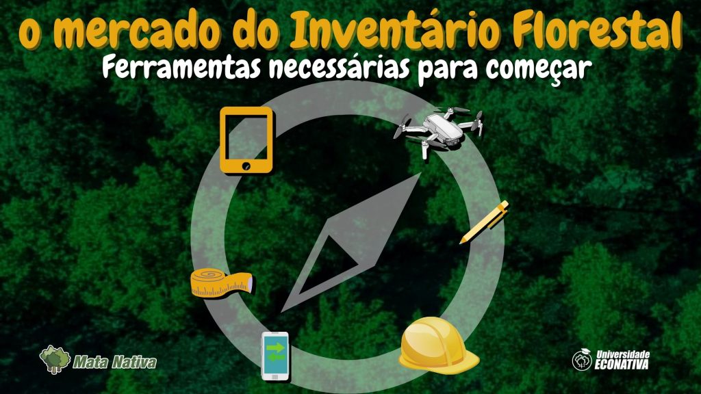 Ferramentas para começar no mercado do inventário florestal