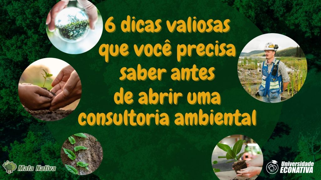 6 dicas valiosas que você precisa saber antes de abrir uma consultoria ambiental