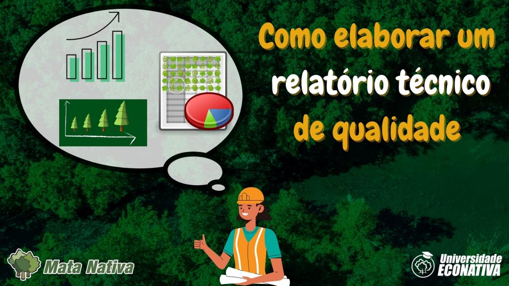 Como elaborar um relatório técnico de qualidade