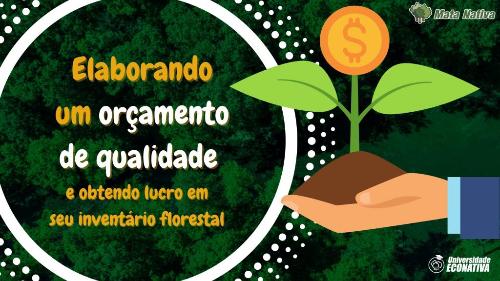 Elaborando um orçamento de qualidade e obtendo lucro em seu inventário florestal