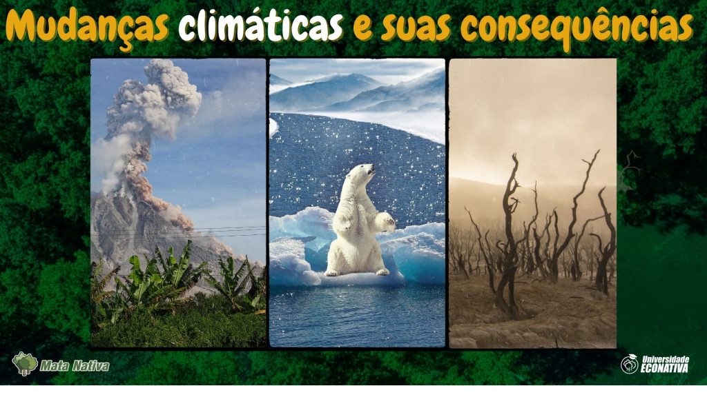 Mudanças climáticas e suas consequências