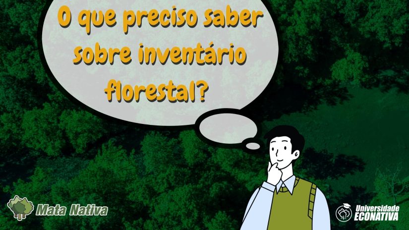 O que preciso saber sobre Inventário Florestal?