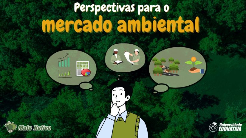 Perspectivas para o mercado ambiental