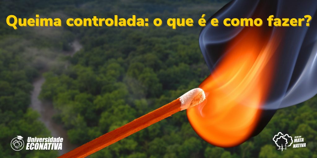 Queima controlada: o que é e como fazer