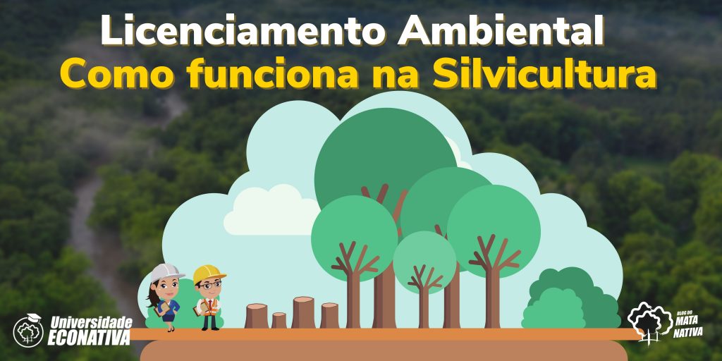 Como funciona o Licenciamento Ambiental na Silvicultura