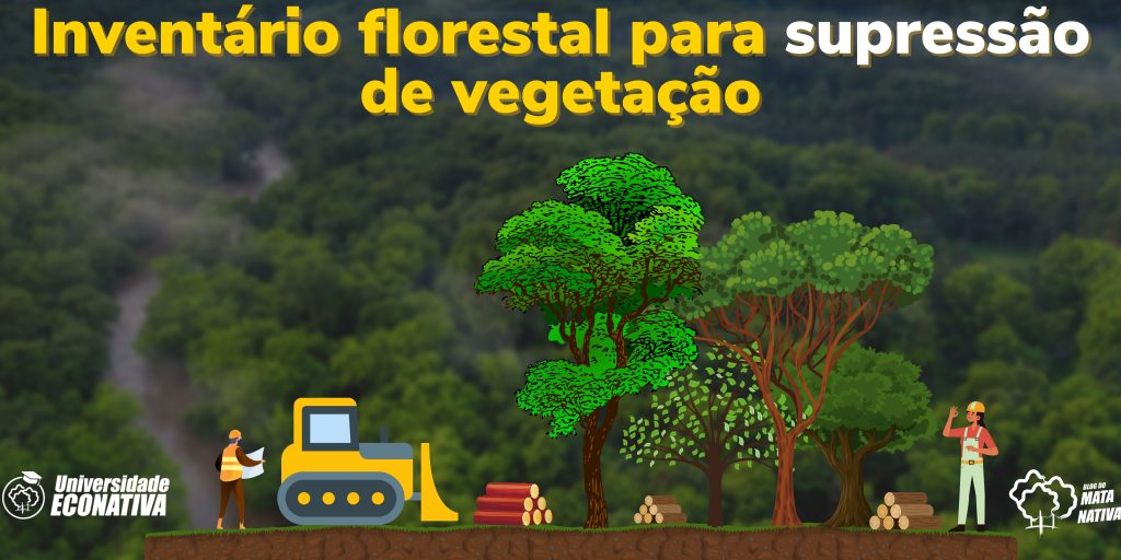 Inventário florestal para supressão de vegetação como fazer