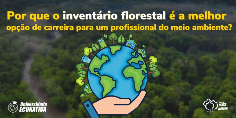 Por que o inventário florestal é a melhor opção de carreira para um profissional do meio ambiente?