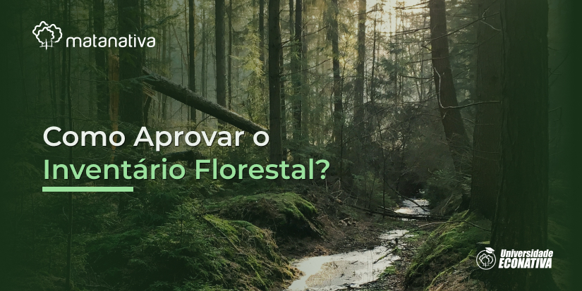 Como Aprovar o Inventário Florestal