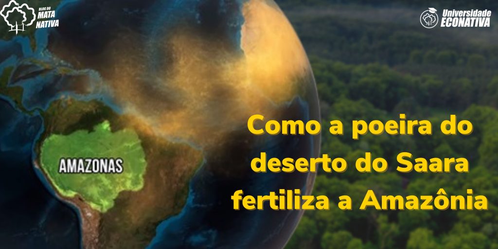 Como a poeira do deserto do Saara fertiliza a Amazônia