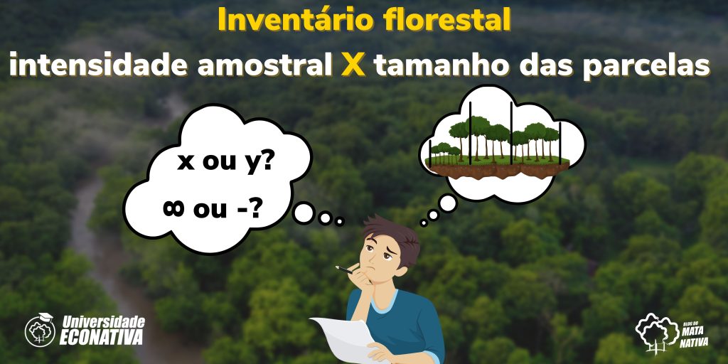 Como determinar corretamente a intensidade amostral e o tamanho das parcelas de um inventário florestal