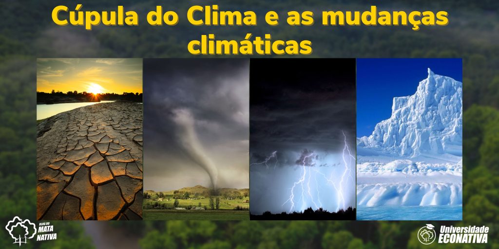 Cúpula do Clima e as mudanças climáticas