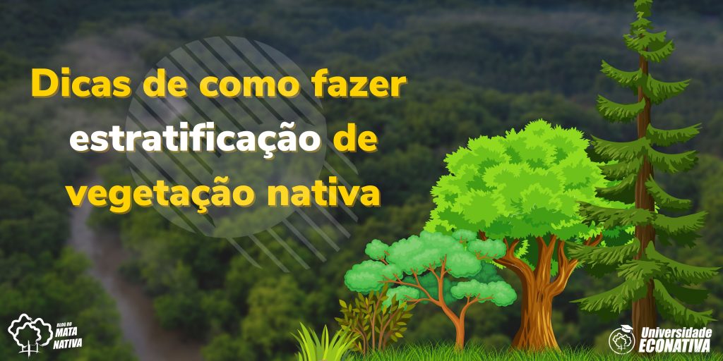 como fazer estratificação de vegetação nativa