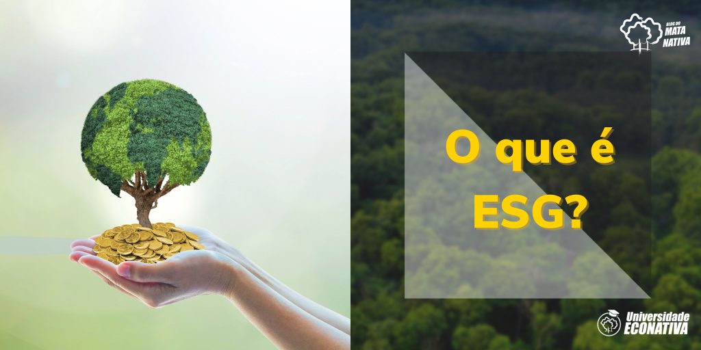 O que é ESG