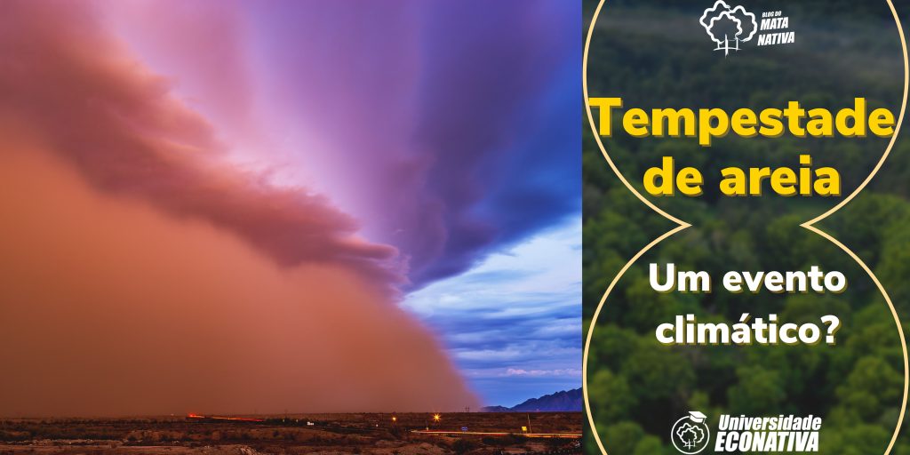 Tempestade de areia: um evento climático